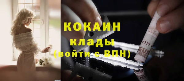 стафф Алексин