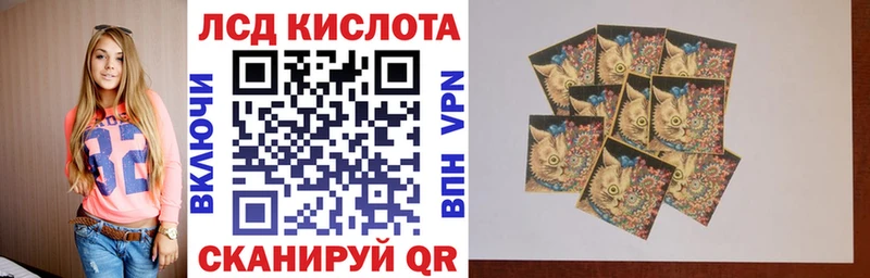 Купить Судак Наркотические марки 1,5мг